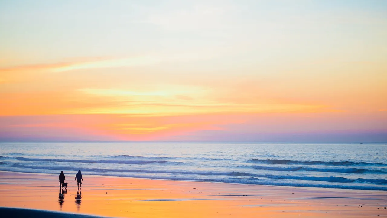 Family watching beach sunset — warm lifestyle scene